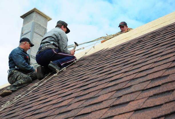 Best Roof Leak Repair  in Big Beaver, PA